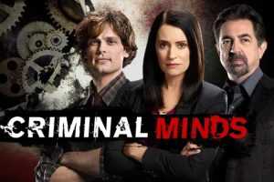 犯罪心理Criminal minds 1~15季美剧高清中文字母百度网盘下载