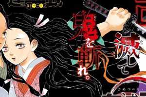 《鬼灭之刃》鬼滅の刃电子书漫画全205话合集[JPG/PDF/7.91GB]云网盘下载