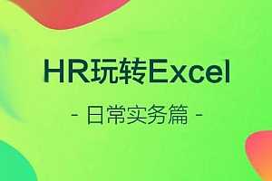 HR玩转Excel 日常实务篇 百度云网盘资源分享下载[MP4/3.66GB]