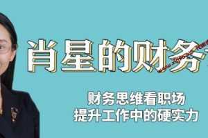 肖星的财务课-财务思维看职场-提升工作中的硬实力-课程讲座MP4百度云网盘下载