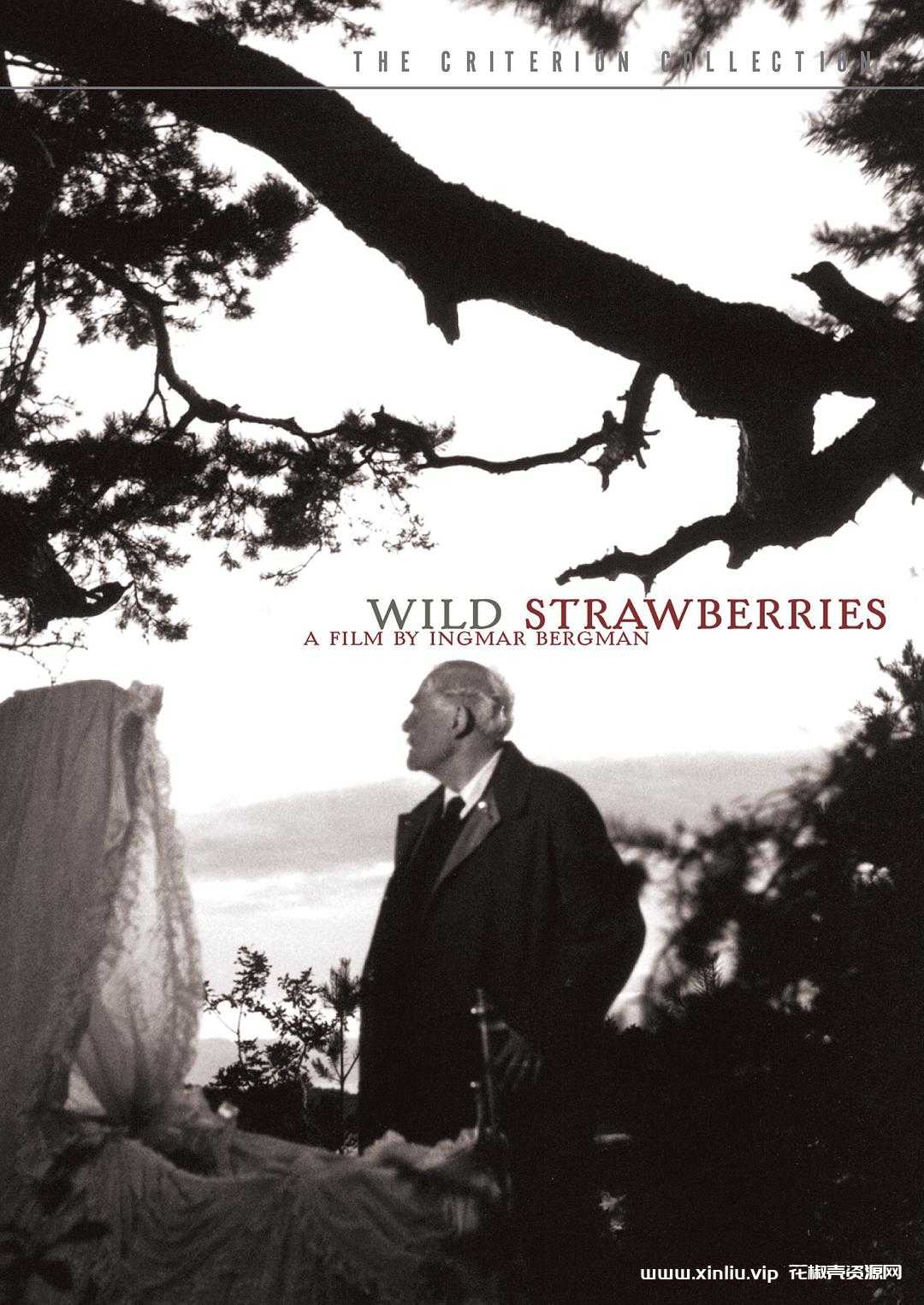 瑞典《野草莓/Wild Strawberries》1080P高清蓝光种子网盘下载