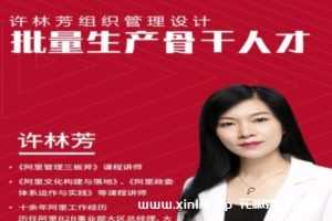 许林芳《批量生产骨干人才》组织管理-视频MP4百度云网盘下载