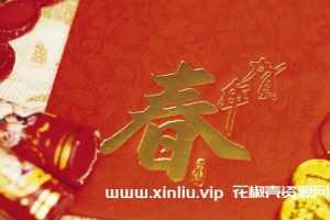 新年春节必备喜庆团圆歌曲(国语+粤语)700首[MP3/3.15GB]百度云网盘下载