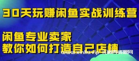 《30天玩赚闲鱼实战训练营》闲鱼专业卖家教你如何打造自己店铺