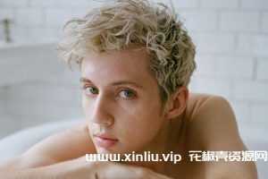 戳爷/Troye Sivan 37张专辑/单曲歌曲合集[FLAC/MP3]百度云网盘下载