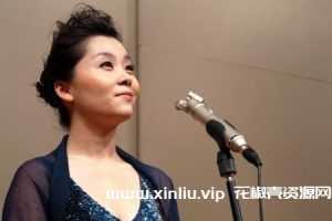 【无损】童丽26张专辑音乐分轨WAV歌曲合集-百度云网盘下载