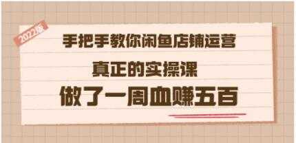 《手把手教你闲鱼店铺运营实操课》