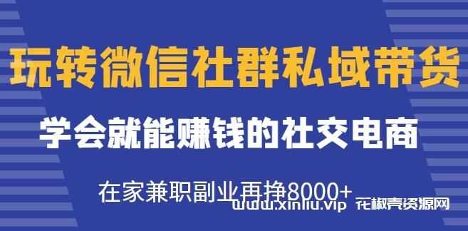 《玩转微信社群私域带货》学会就能赚钱的社交电商，在家兼职副业再挣8000+