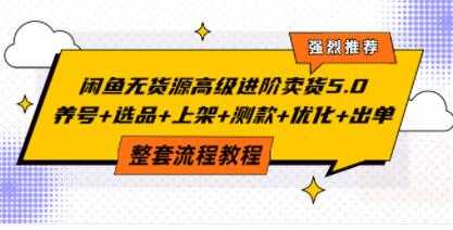 《闲鱼无货源高级进阶卖货5.0》养号+选品+上架+测款+优化+出单整套流程教