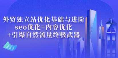 叶建阳《外贸独立站优化基础与进阶》seo优化