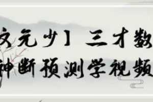 文元少《三才数字》神断预测学视频-百度云网盘下载