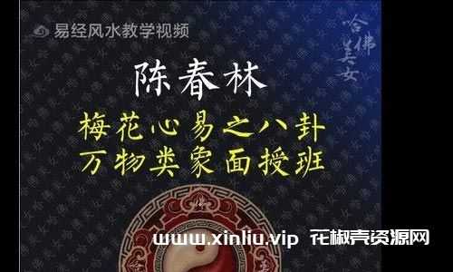 陈春林《梅花心易八卦万物类象面授班》