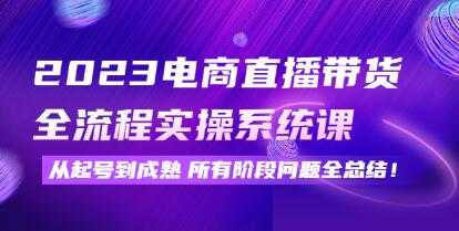 《电商直播带货全流程实操系统课》