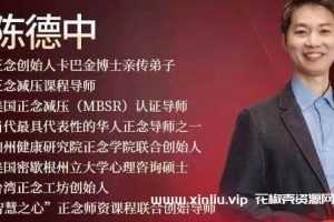 陈德中《21天正念引导训练营》音频+PDF文档-百度云网盘下载