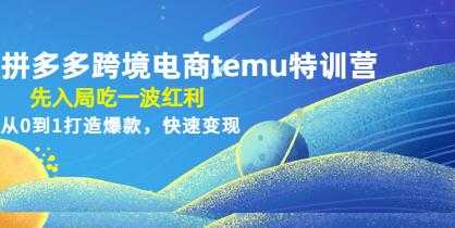 《拼多多跨境电商temu特训营》