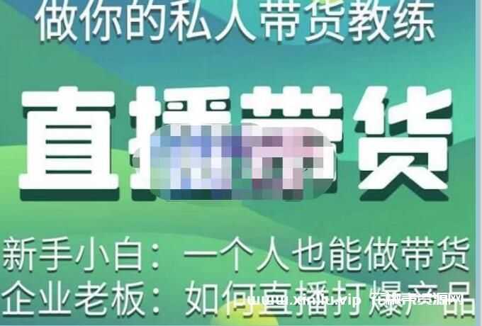 硬核传媒《直播带货实操实战教学》