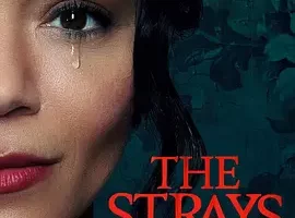 美剧《流浪者2023/异客 / 彷徨い(日) / Los extraños》1080P高清视频[MP4/3.14 GB]百度云网盘下载