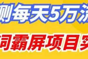 《万词霸屏项目实战》实测每天5万流量视频学习资料[MP4/2.56 GB]百度云网盘下载