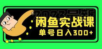 《2023最新闲鱼实战课》