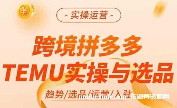 《跨境拼多多temu实操与选品》