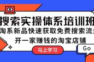 《搜索实操体系培训班》视频学习资料[MP4/436.8 MB]百度云网盘下载