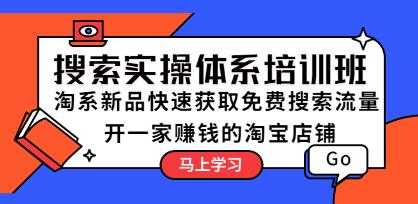 《搜索实操体系培训班》