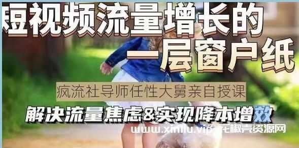 任性大舅《宠物行业短视频运营课》