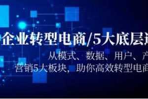 《企业转型电商/5大底层逻辑》从模式/数据/用户/产品/营销5大板块视频学习资料[MP4/1.86GB]百度云网盘下载