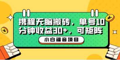 《携程无脑搬砖单号每天操作10分钟收益30+可矩阵》