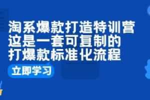 《淘系爆款打造特训营：这是一套可复制的打爆款标准化流程》视频学习资料[MP4/817.6 MB]百度云网盘下载