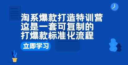 《淘系爆款打造特训营：这是一套可复制的打爆款标准化流程》