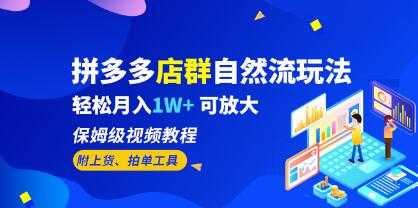 《拼多多店群自然流玩法》