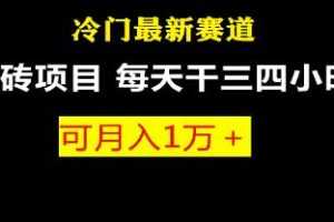 《冷门最新赛道项目》月入过万赚钱项目视频学习资料[MP4/278.5MB]百度云网盘下载