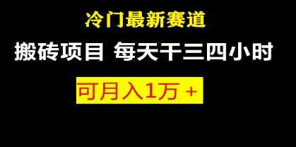 《冷门最新赛道项目》