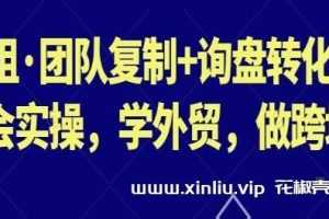 外贸学习《团队复制+询盘转化+展会实操》学外贸做跨境视频学习资料[MP4/1.44GB]云网盘下载