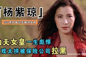 《杨紫琼》29部影视电影作品合集[MP4/258GB]云网盘下载