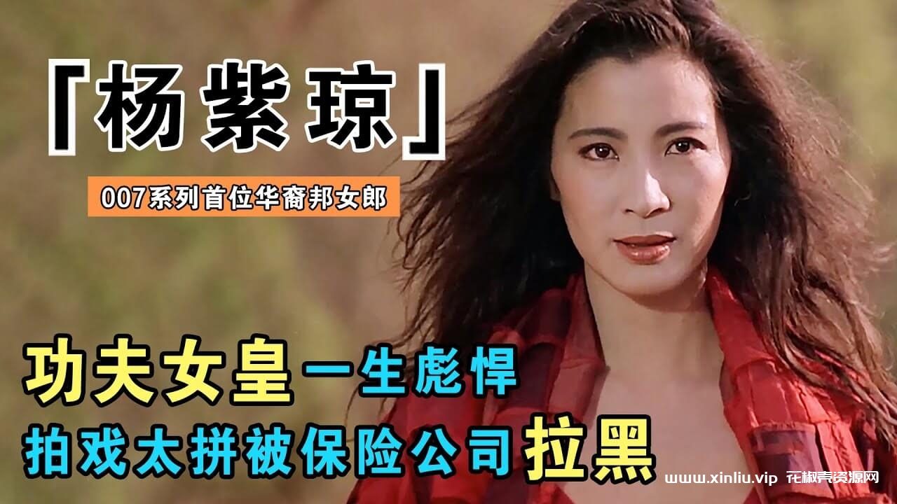 《杨紫琼》29部影视电影作品合集[MP4/258GB]云网盘下载，包含电影29部影视作品，已做压缩处理，云网盘下载后解压使用，文件大小258GB，目录见下文。